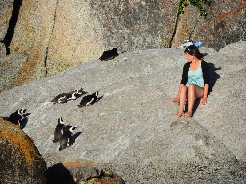 Pinguini a Boulder