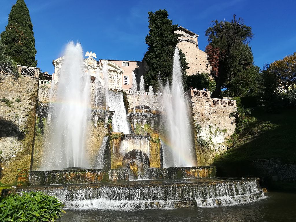 Foto del giorno